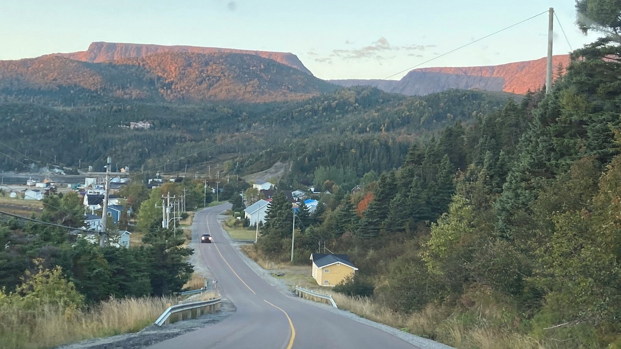 Photo of Others in Woody Point