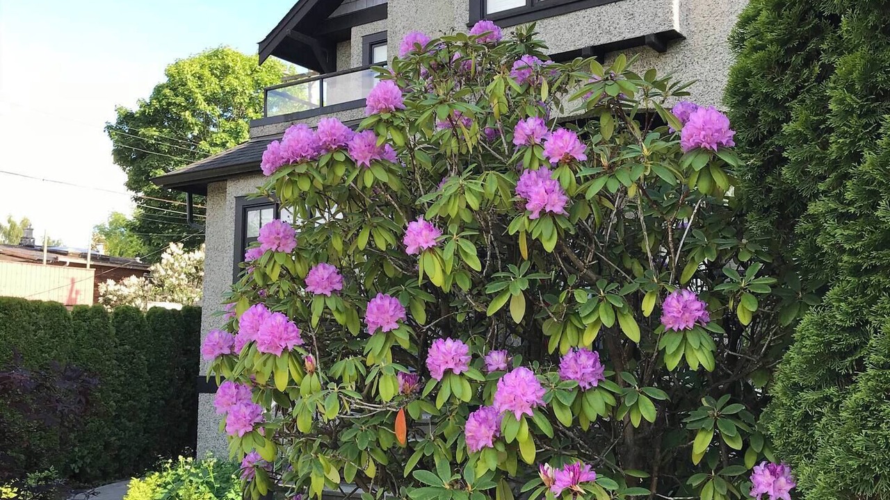 Photo of Outdoor in Dunbar