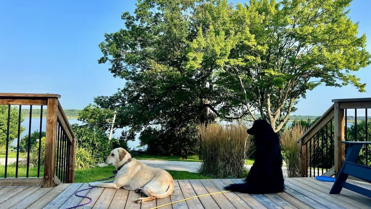 Photo of Outdoor in Scugog