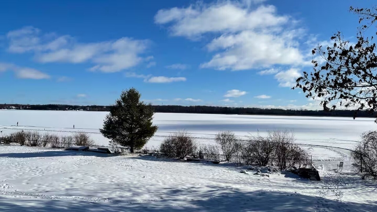 Photo of Others in Scugog