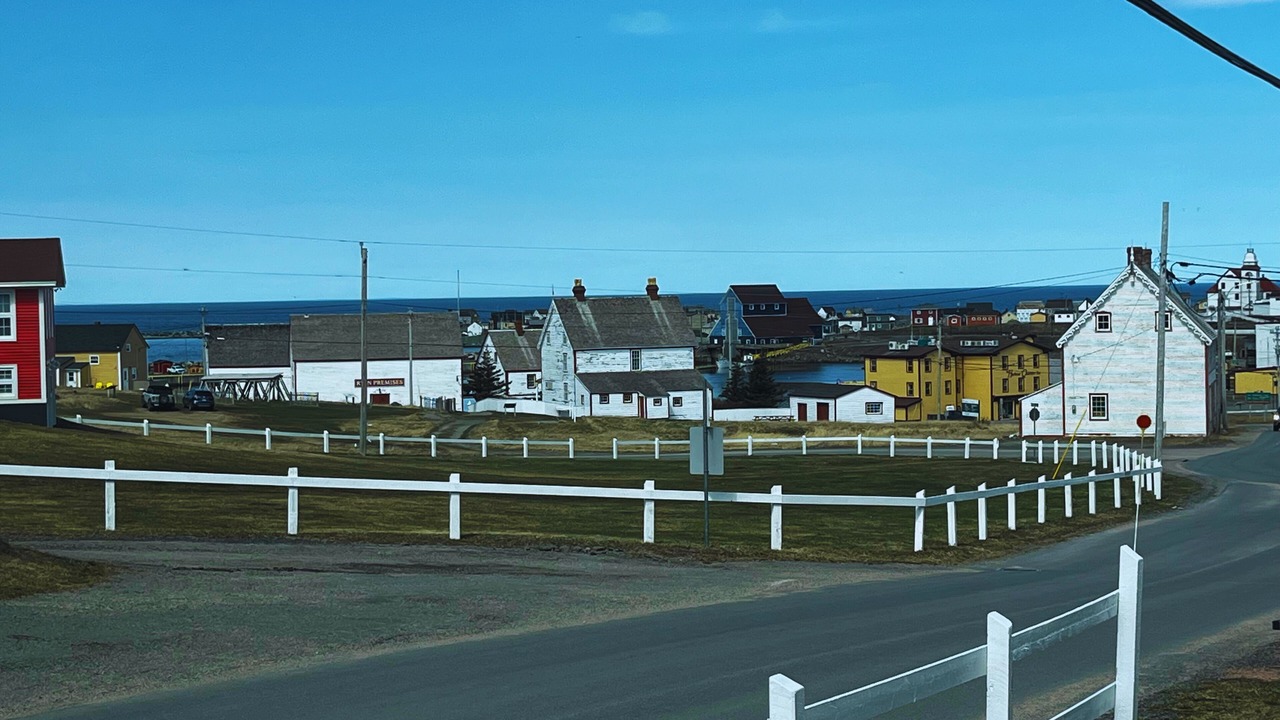 Photo of Others in Bonavista