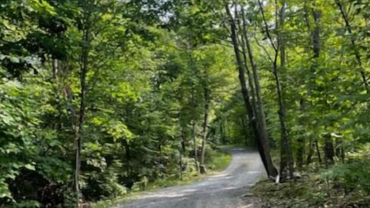 Photo of Others in Frontenac
