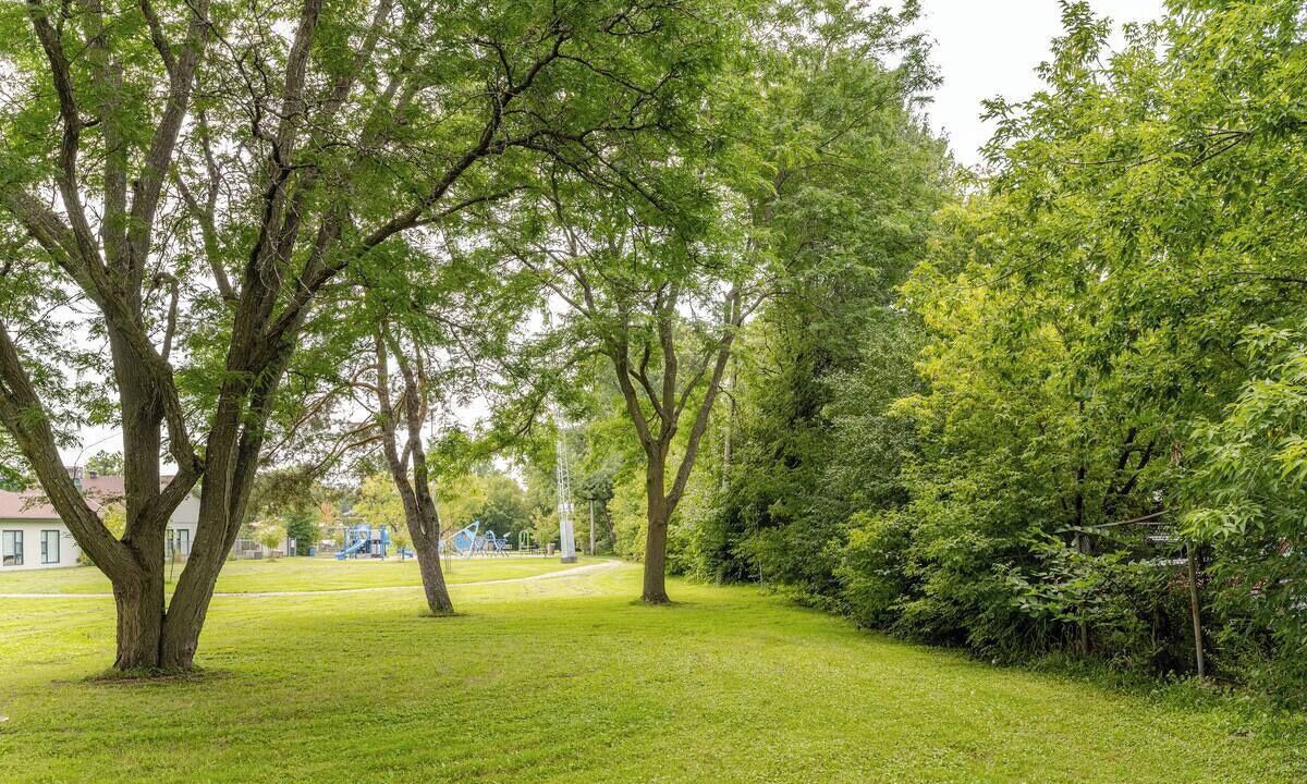 Photo of Outdoor in Downtown Gatineau