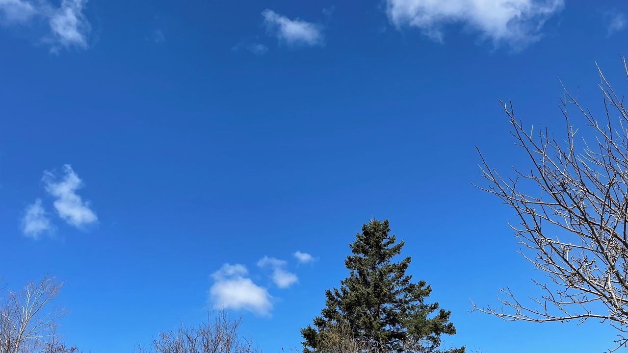 Photo of Others in Annapolis County