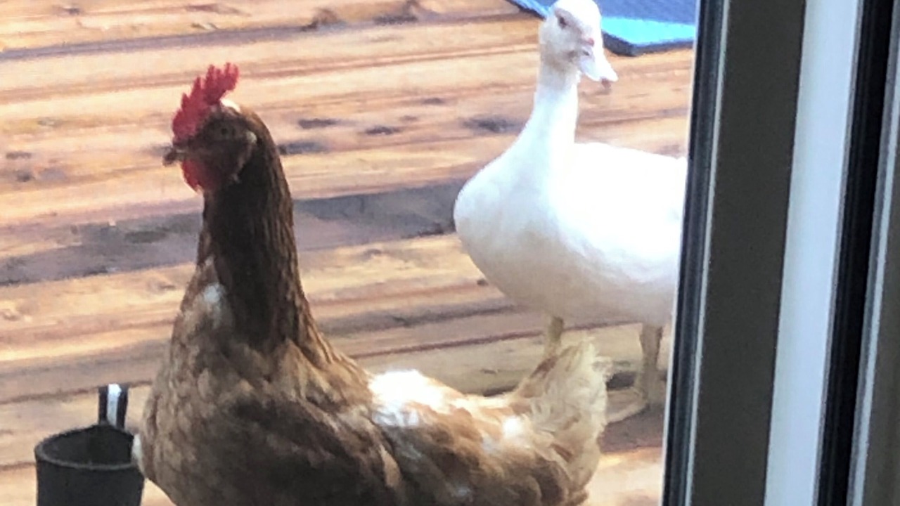 Photo of Others in Annapolis County