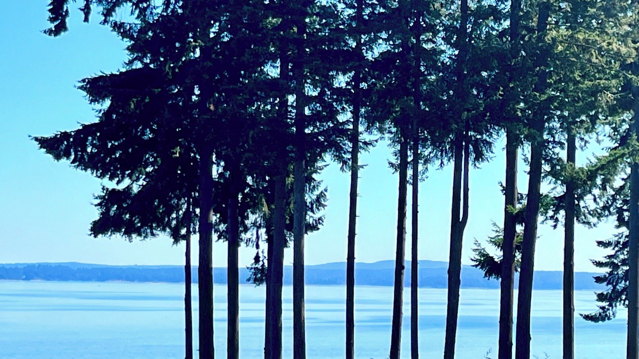 Photo of Others in Chemainus