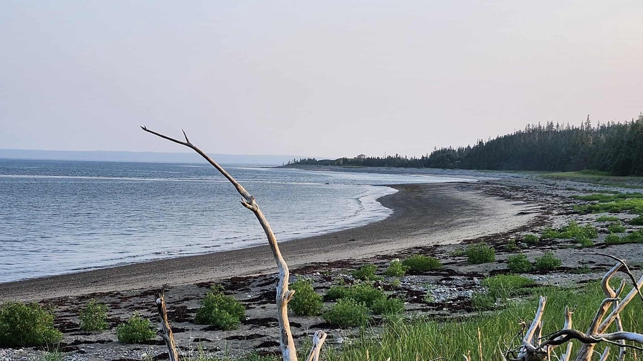 Photo of Others in Sand Point