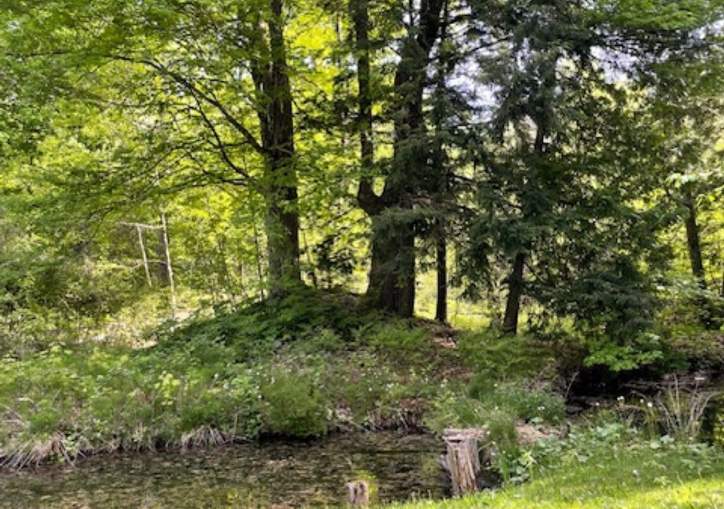 Photo of Others in Balm Beach
