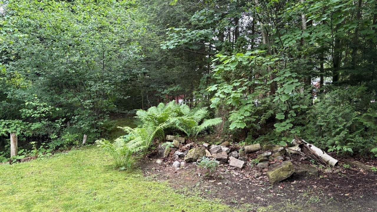 Photo of Outdoor in Balm Beach