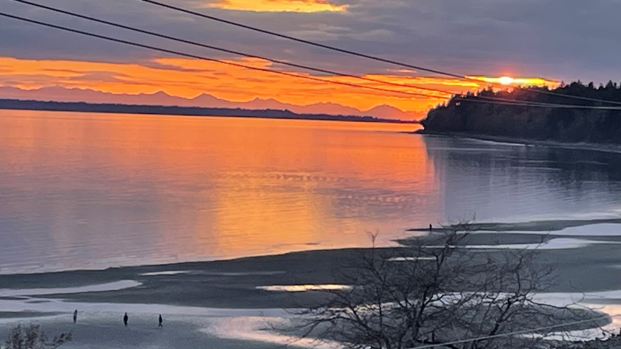 Photo of Others in White Rock