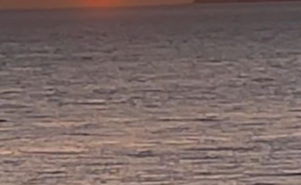 Photo of Others in White Rock