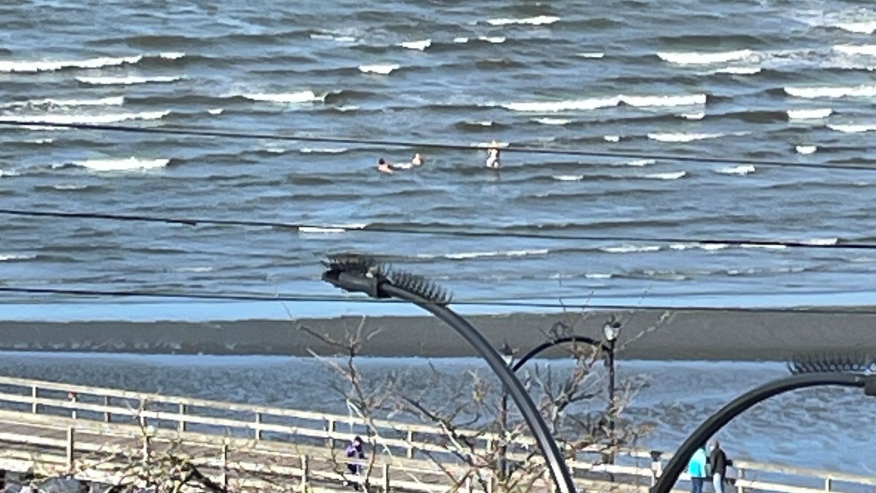 Photo of Others in White Rock