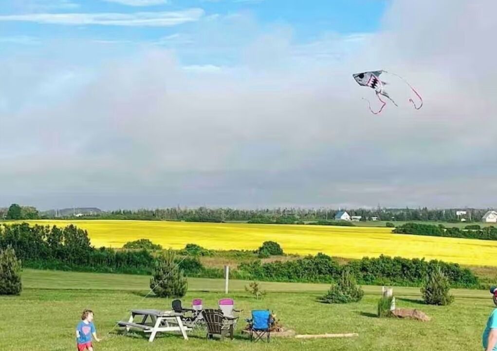 Photo of Others in Darnley