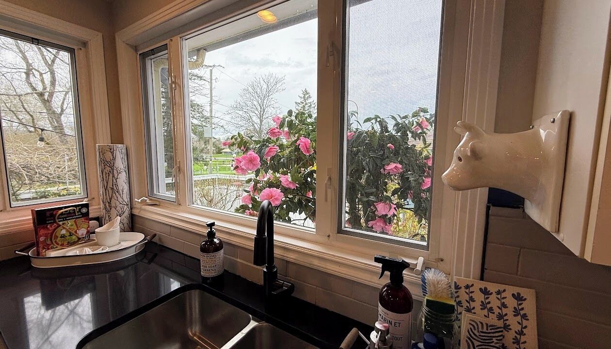 Photo of Others in Saanich East