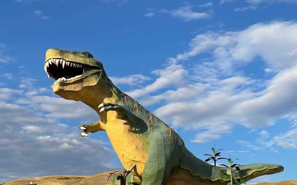 Photo of Others in Drumheller