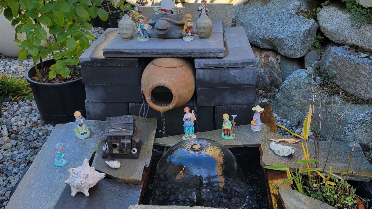 Photo of Others in West Sechelt