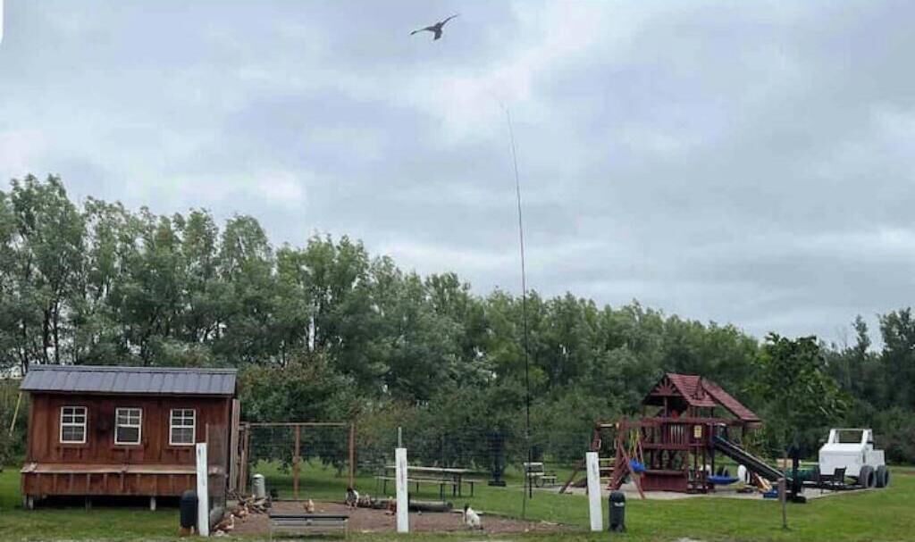 Photo of Others in Merrickville-Wolford