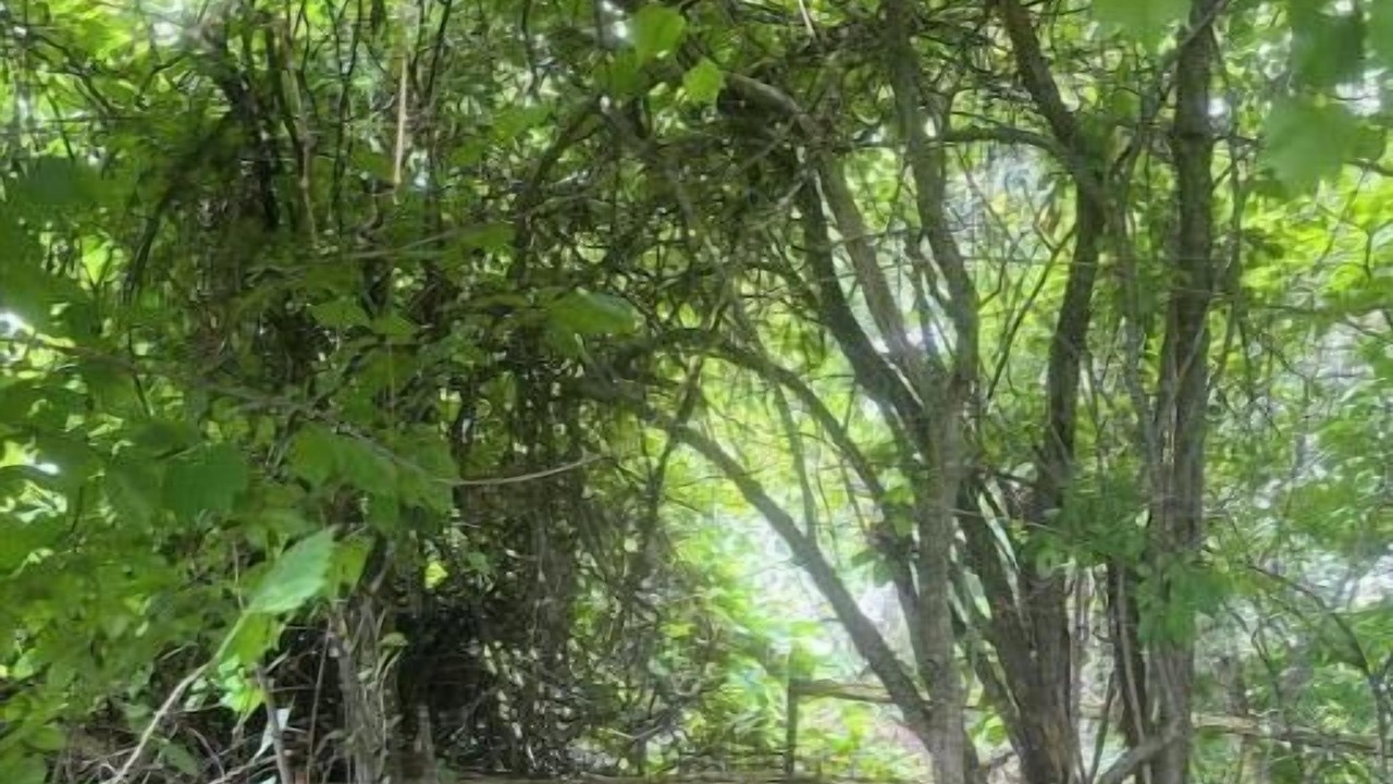 Photo of Outdoor in Merrickville-Wolford