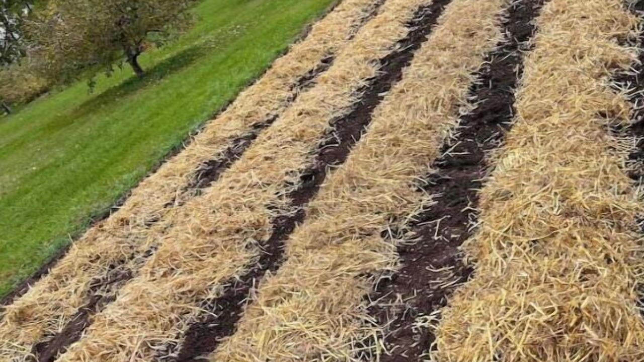 Photo of Others in Merrickville-Wolford