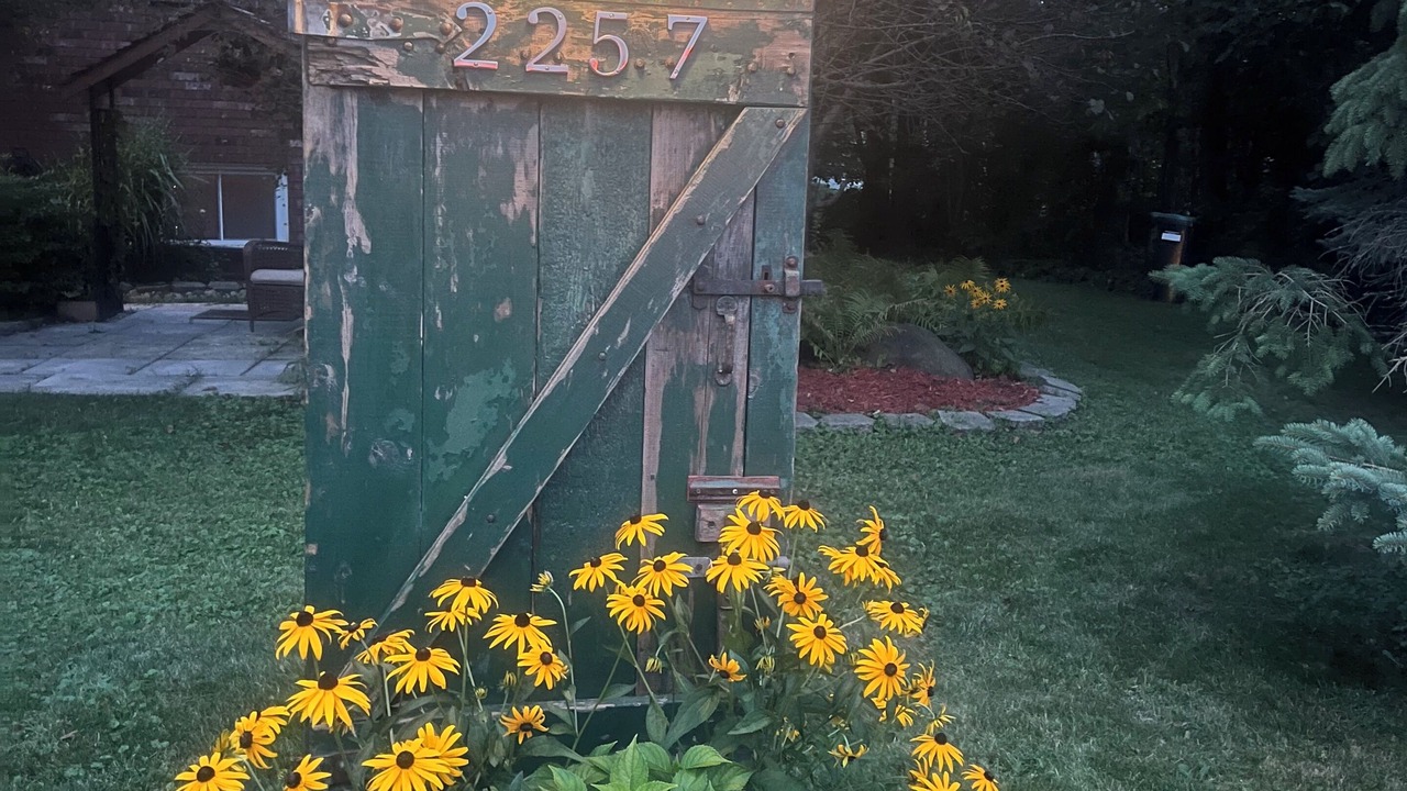 Photo of Outdoor in Alcona