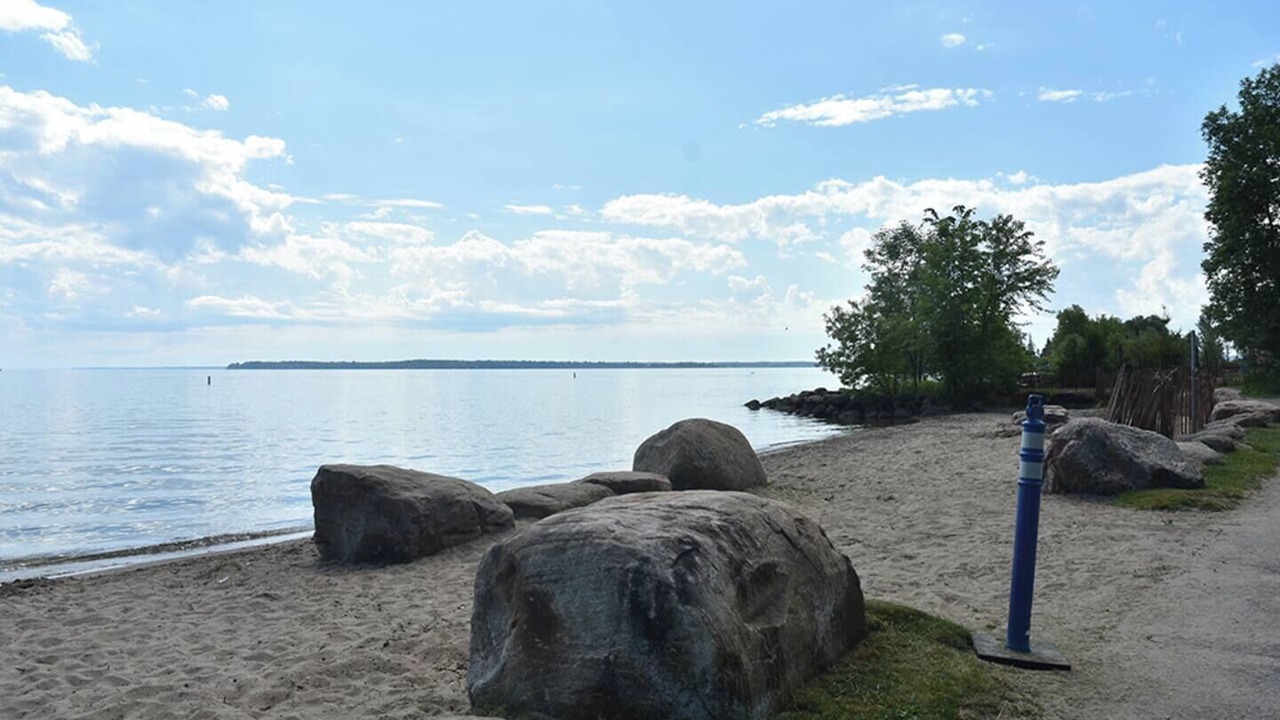 Photo of Others in Alcona