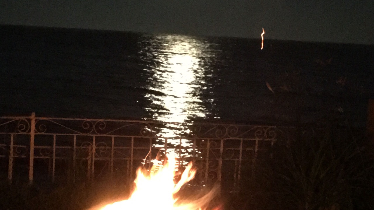 Photo of Outdoor in Hamilton