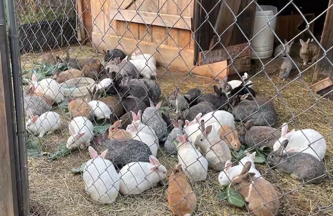Photo of Others in Alexandria