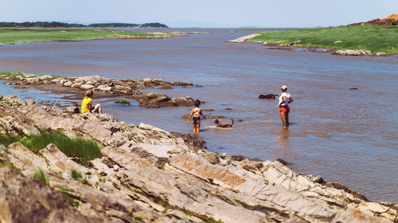 Photo of Others in Saint-Antoine-de-l'Isle-aux-Grues