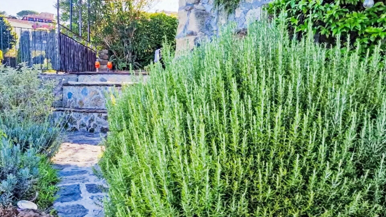 Photo of Patio Balcony in San Michele in Teverina