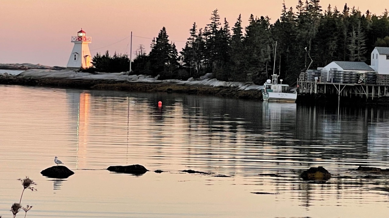 Photo of Others in Indian Harbour