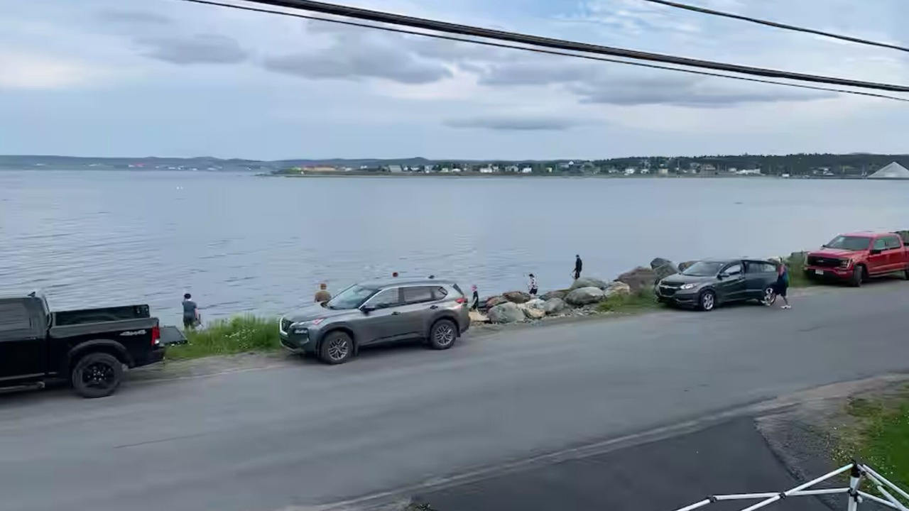 Photo of Others in Bay Roberts