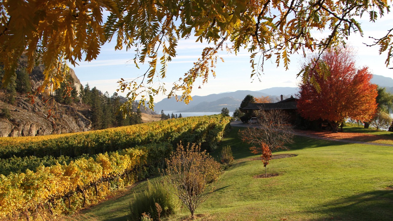 Photo of Others in Okanagan-Similkameen