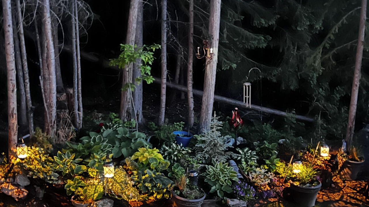 Photo of Outdoor in Eagle Bay