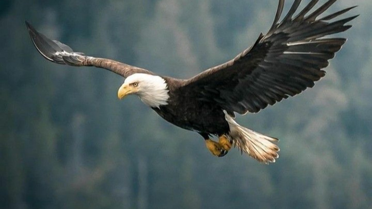 Photo of Others in Central Kootenay