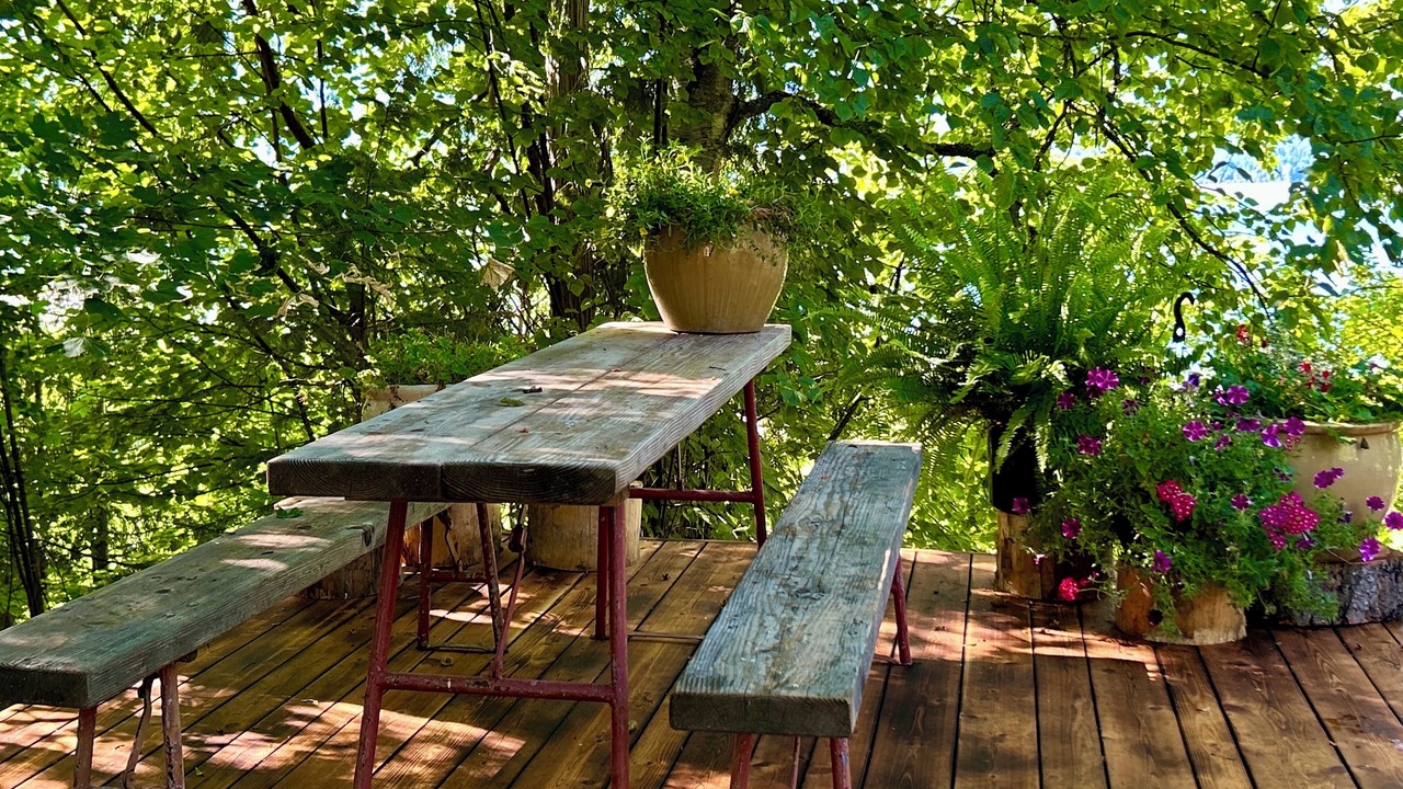 Photo of Outdoor in Central Kootenay