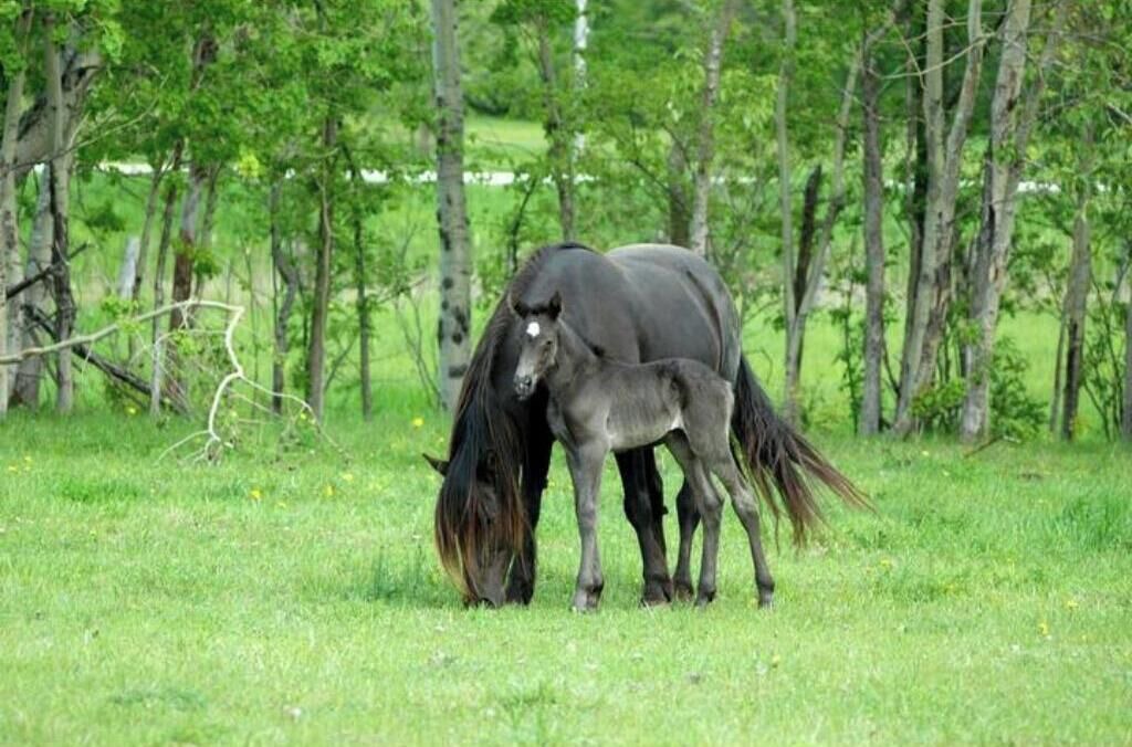 Photo of Others in Pontiac