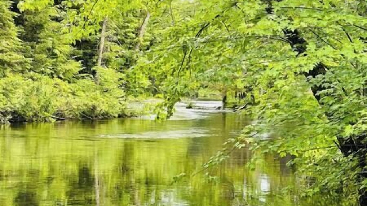 Photo of Others in Kawartha Lakes