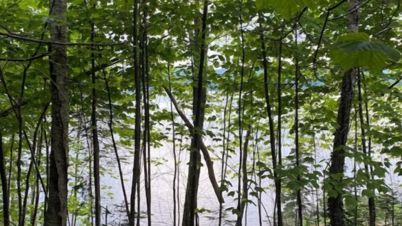 Photo of Others in Boularderie
