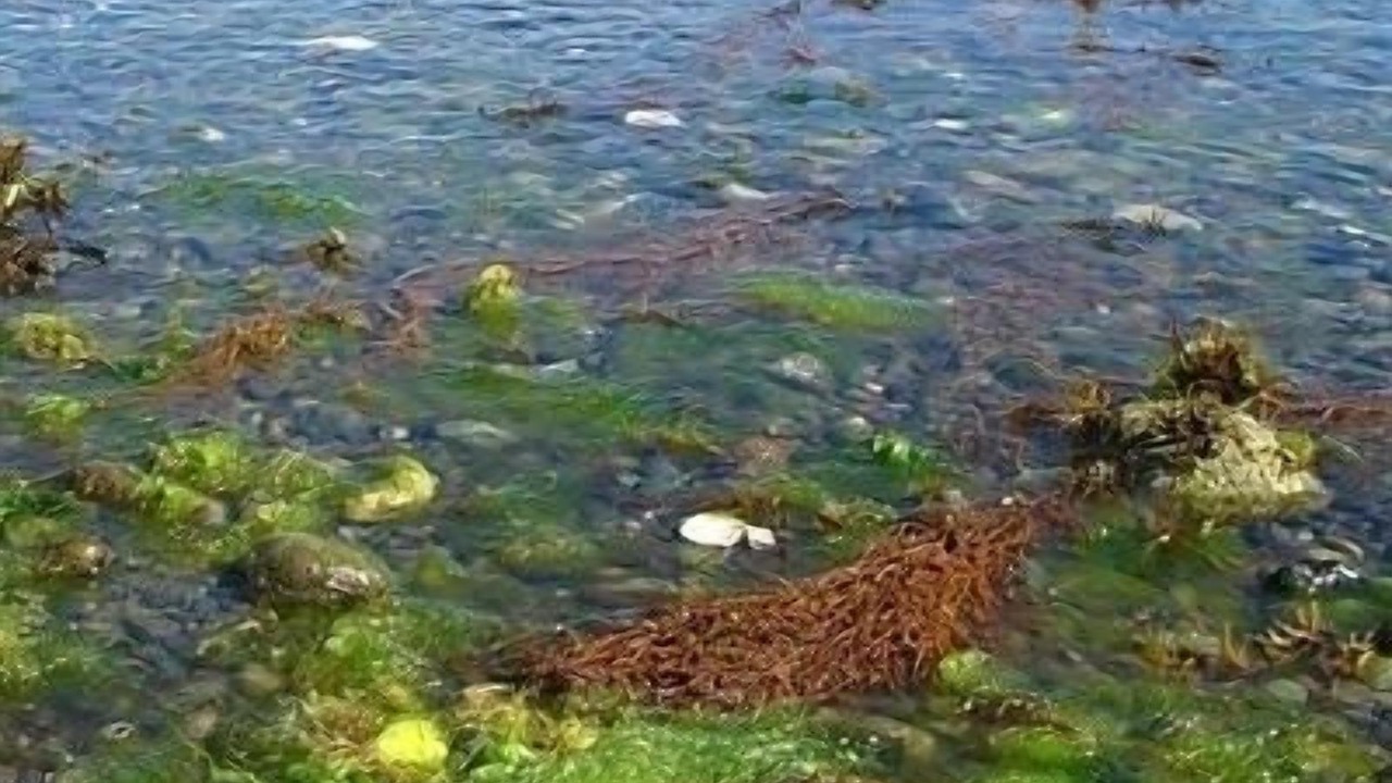 Photo of Others in Regional District of Nanaimo