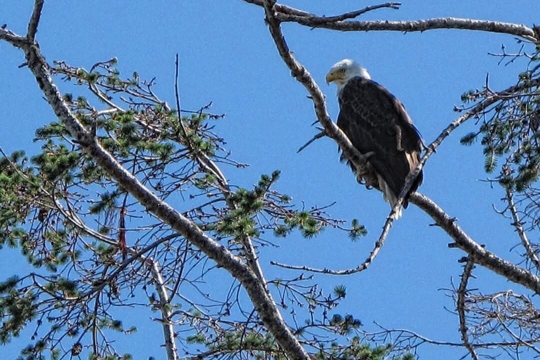 Photo of Others in Regional District of Nanaimo