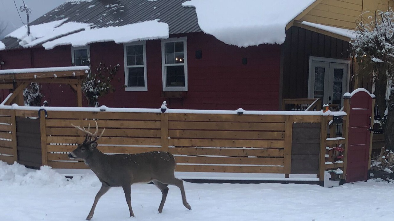 Photo of Outdoor in Grand Forks