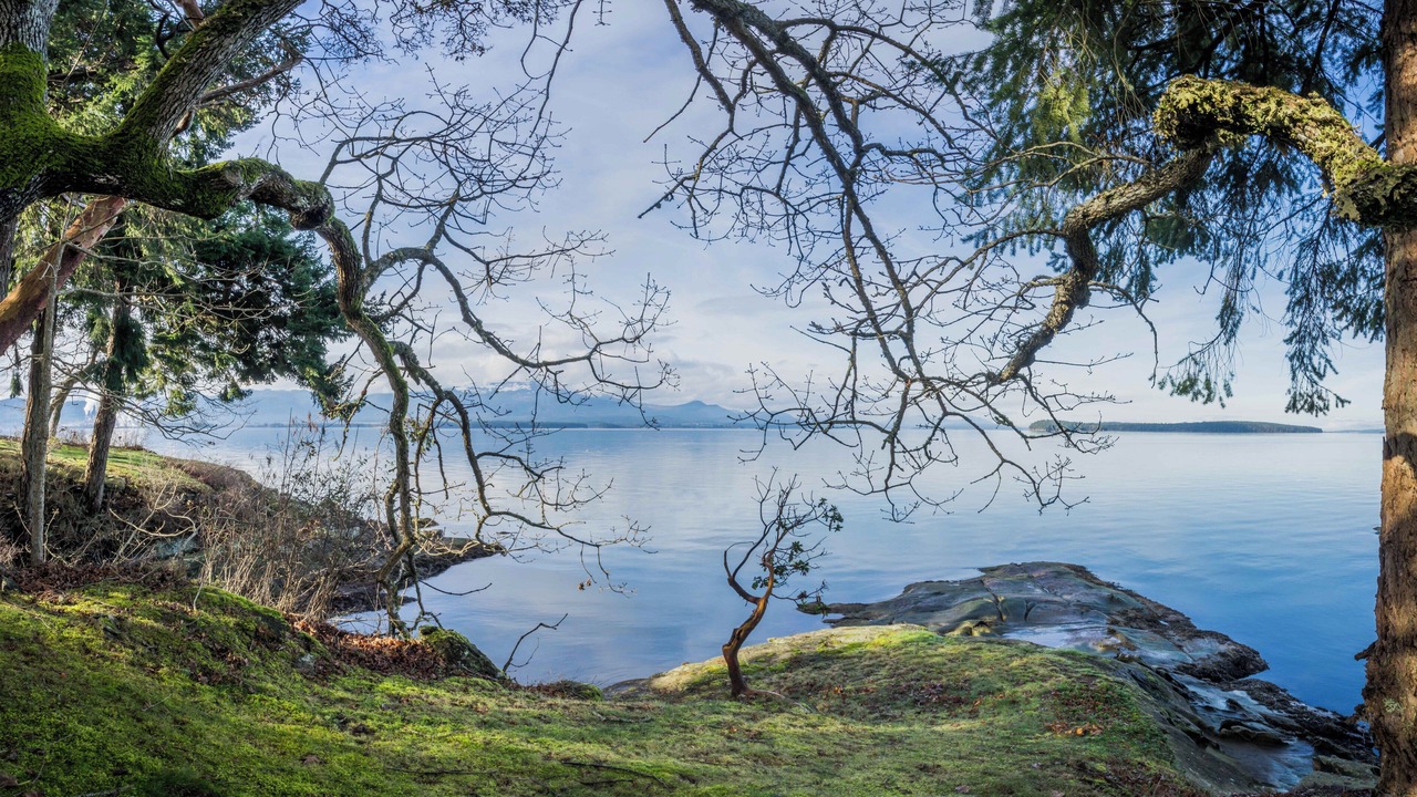 Photo of Others in Salt Spring Island