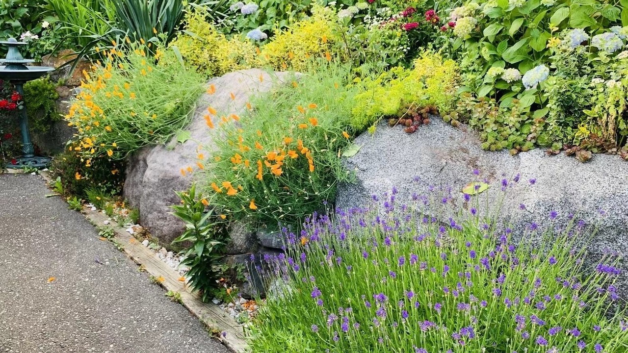 Photo of Outdoor in White Rock