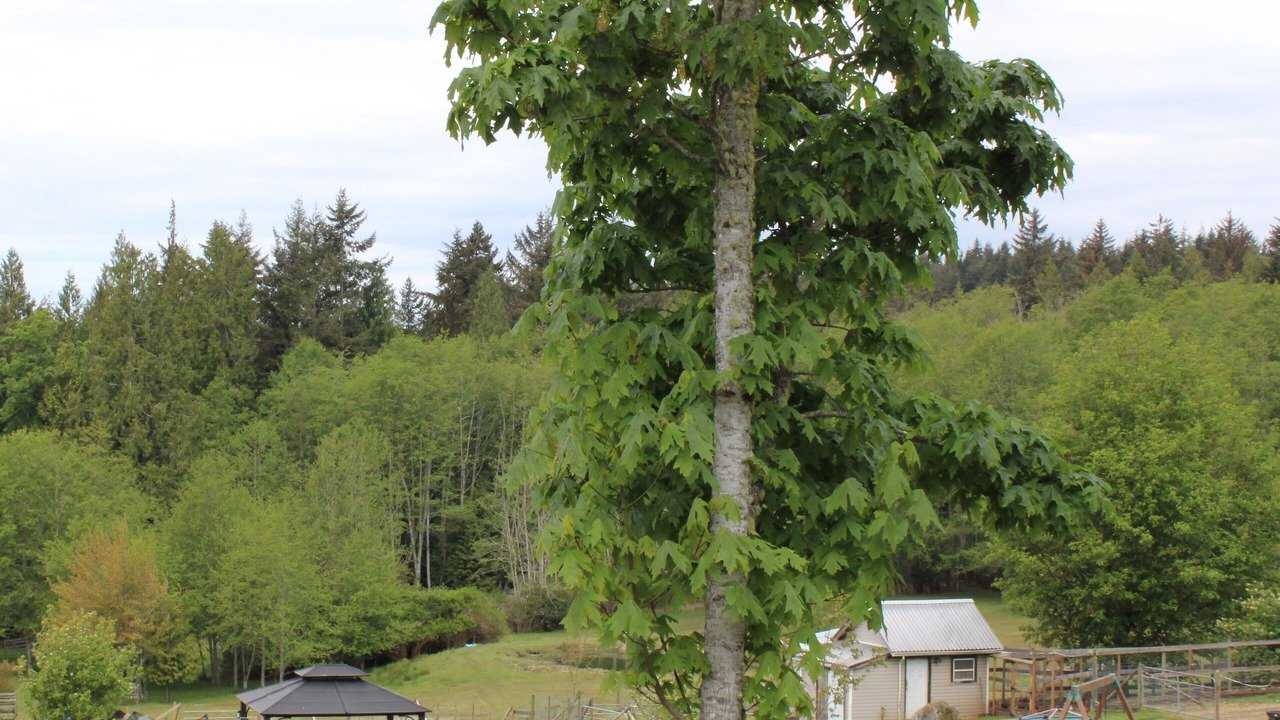 Photo of Outdoor in Otter Point