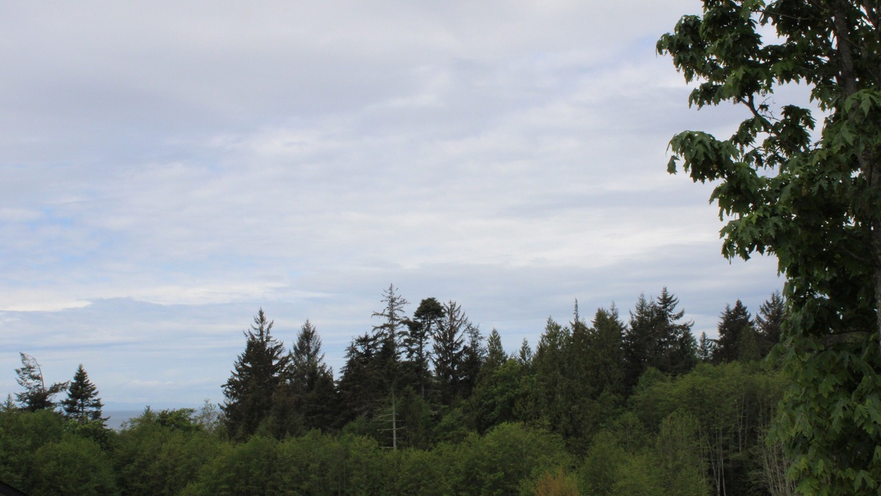 Photo of Others in Otter Point