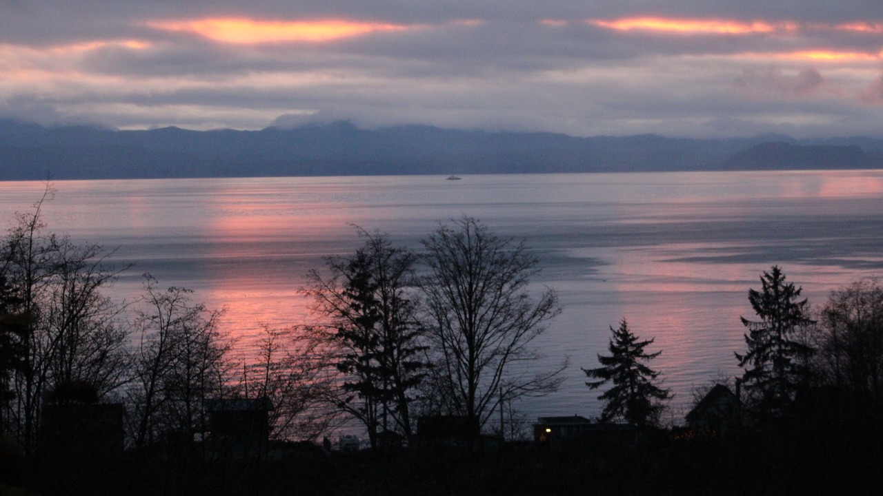 Photo of Others in Otter Point