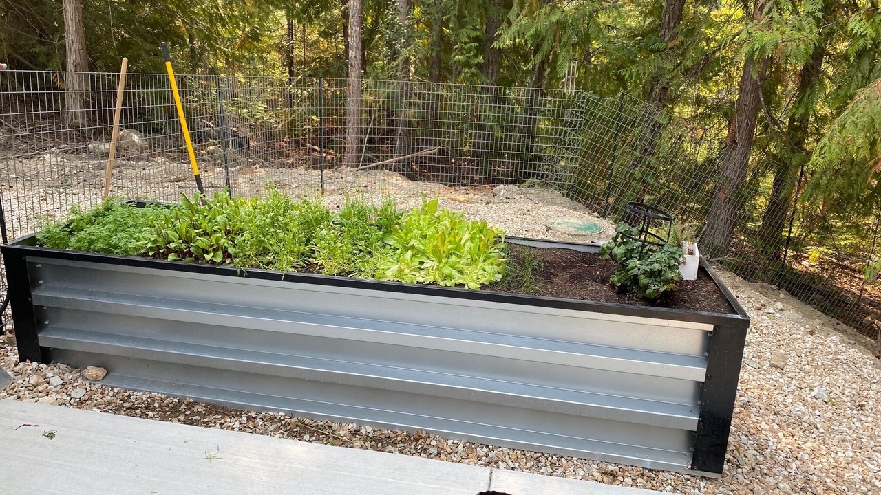 Photo of Outdoor in Eagle Bay