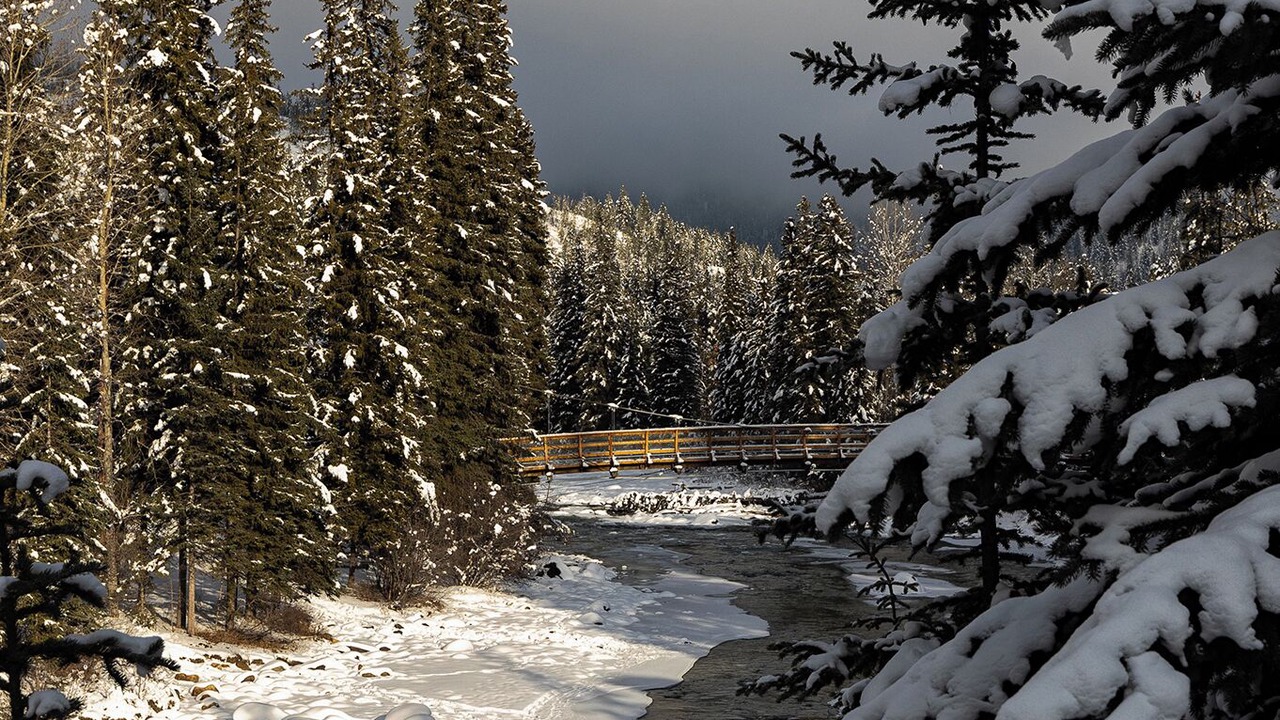 Photo of Others in East Kootenay