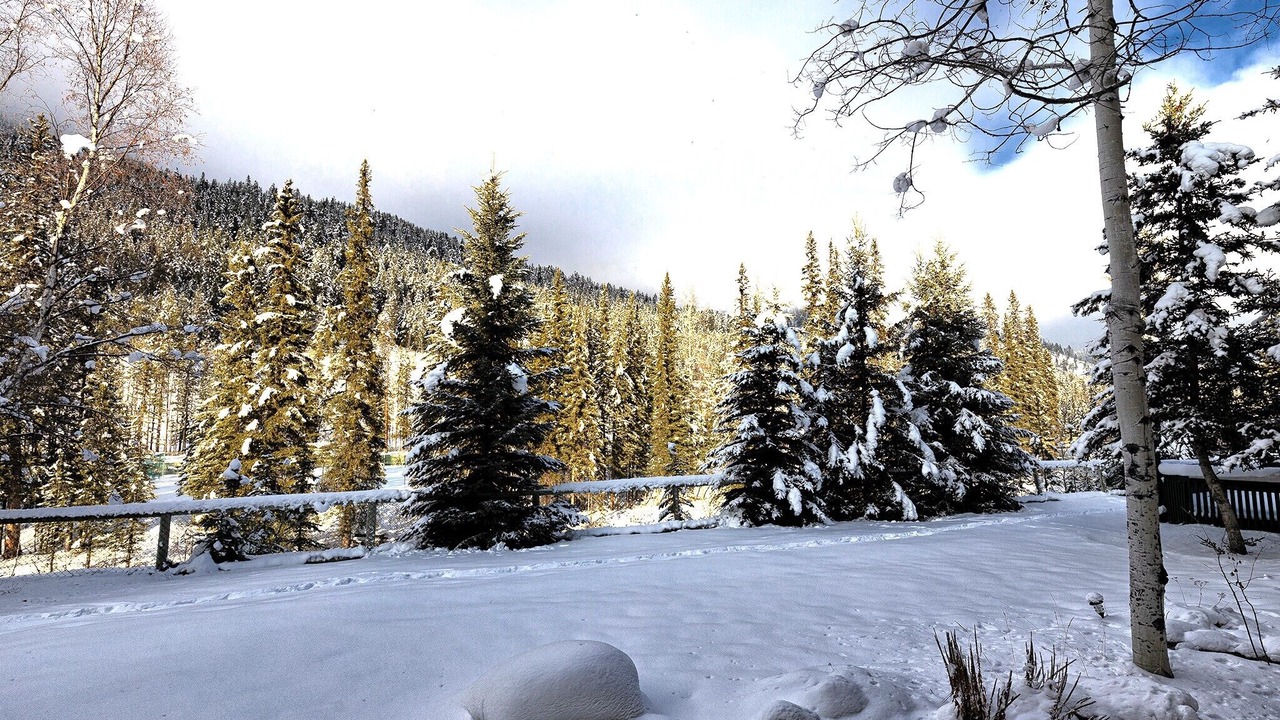 Photo of Others in East Kootenay