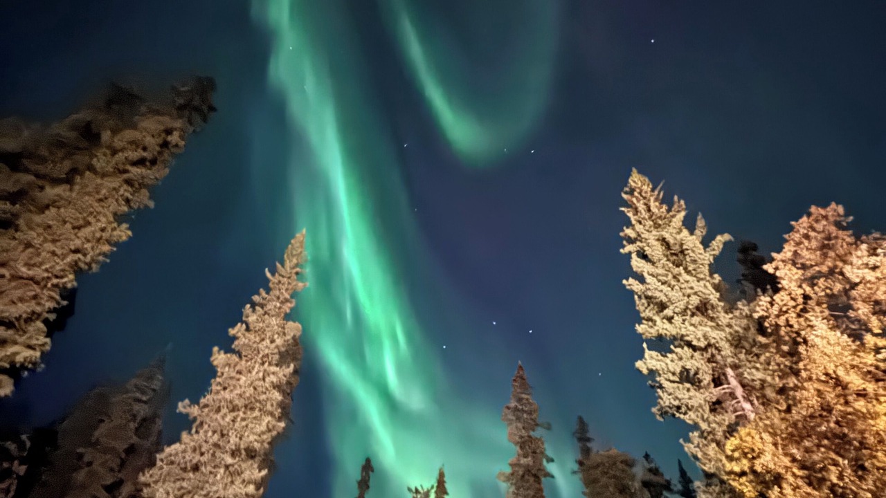 Photo of Others in Whitehorse